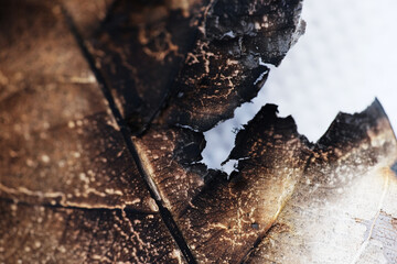 Wall Mural - Macro of burn dried leaf