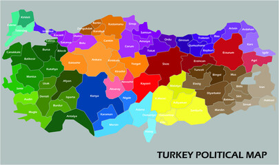 Wall Mural - Turkey political map divide by state colorful outline simplicity style. Vector illustration.