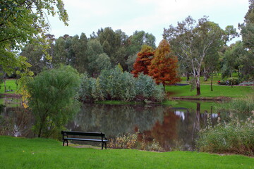 Wall Mural - bench in linear park trail, adelaide