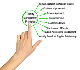 Wall Mural - Eight Principles of Quality Management