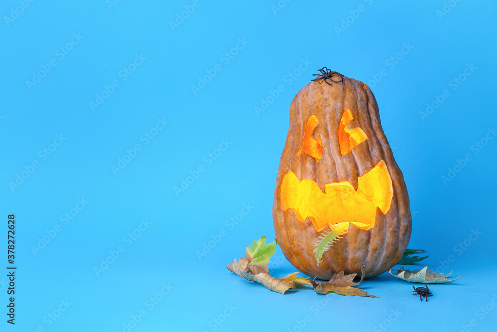 Carved Halloween pumpkin on color background
