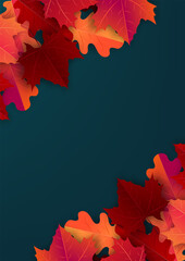 Wall Mural - Autumn maple leaves flyer background. Fall banner template. Red and orange foliage. Thanksgiving season holiday concept. Realistic 3d vector illustration.