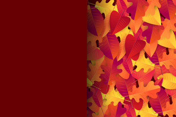 Wall Mural - Autumn leaves background. Fall banner template. Red and orange foliage. Thanksgiving season holiday concept. Realistic 3d vector illustration.