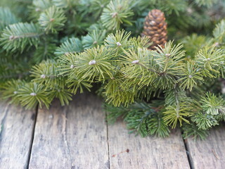 Green branches of spruce on a wooden ancient rustic background. Christmas and New Year.