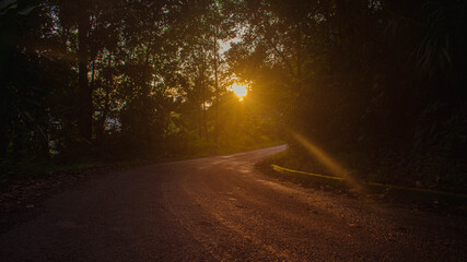 Wall Mural - the sun sets in the evening with the forest, not nature