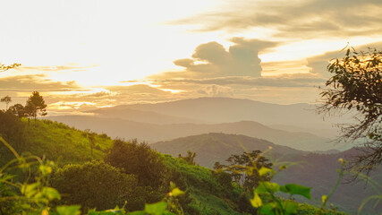 Wall Mural - the sun sets in the evening with a variety of vegetables grown and nature