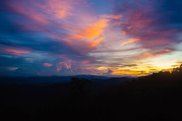 Wall Mural - the sun sets in the evening with a variety of vegetables grown and nature