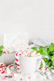 Fototapeta Dinusie - Homemade Peppermint Hot Chocolate. Two cup of hot cocoa drink, with mint, marshmallow and candy cane, on white table background