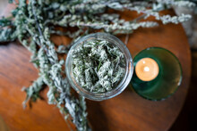 Harvested Mugwort In Jar For Healthy Tea Infusion On Round Wooden Table Inside Home. Boho Living And Alternative Health