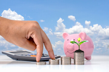 Wall Mural - The male investor's hand rests on a pile of flat coins leap and trees on the coin pile of money-saving ideas business growth.