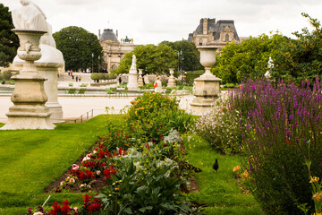 garden with flowers