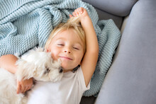 Little Toddler Child, Boy, Lying In Bed With Pet Dog, Little Maltese Dog