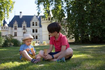 Canvas Print - Children, cute boy brothers sitting in the park, eating ice cream