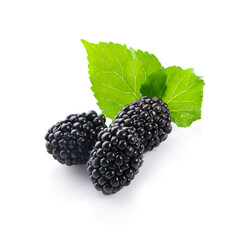 Wall Mural - Blackberries isolated on white background