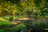 Fototapeta Londyn - natural pond surrounded by green trees and grass in sunny summer weather