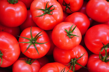 Wall Mural - red tomato harvest. tomatoes close up