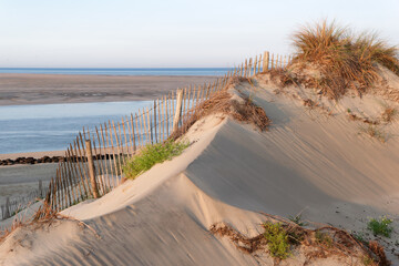 Sand dune in the Bay of Authie