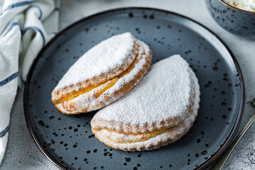 Cottage cheese cookies sochnik with powdered sugar on a plate