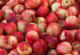 Fototapeta Kuchnia - peaches on market
