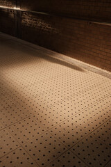 Poster - Vertical shot of shadows on a brick wall and tiled ground