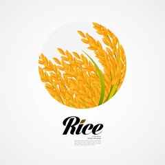 Premium Rice great quality design concept  vector.