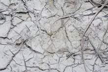 Crack Dried Mud Surface Of The Ground.
