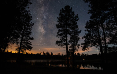 Wall Mural - milky way over a forest lake
