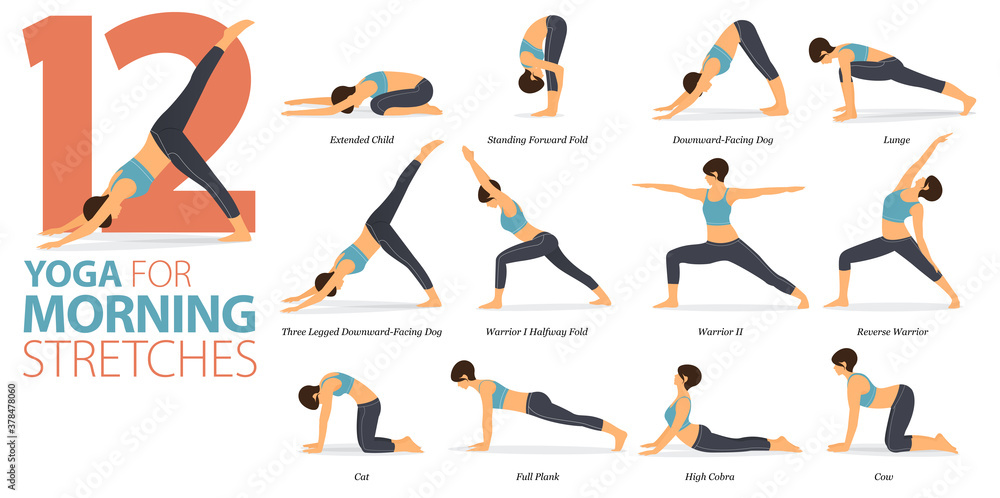 12 Yoga poses or asana posture for workout in Morning Stretches concept.  Women exercising for body stretching. Fitness infographic. Flat cartoon  vector. Stock Vector | Adobe Stock