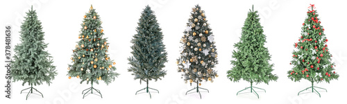 Fotomural Beautiful Christmas trees on white background