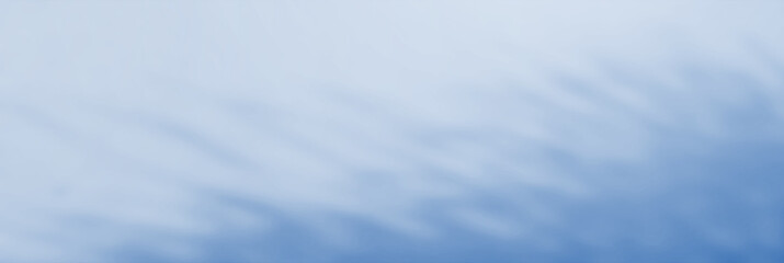 Wall Mural - abstract shadows, blurred backgrounds, blue leaves, blue and natural trees that reflect concrete wal