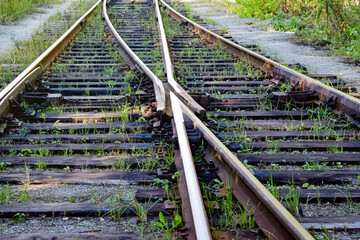 overgrown railway. railway in the forest. railway in the middle of the forest. two rails touch