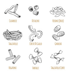 Hand drawn italian pasta set. Different types of traditional italian cuisine in sketch style with signs. Casarecce,  tagliatelle, creste di gallo, gnocchi, rigatoni, farfalle, tagliatelle corte.