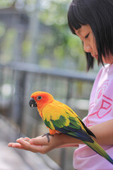 Girl is feeding a parrot standing on her hand in the zoo. Focused on the parrot's head.