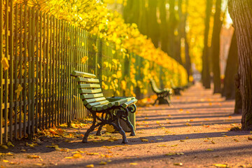 Beautiful alley in the autumn Park. Green benches near the fence and colorful yellow foliage on the bushes. Fallen leaves on the walking paths in the garden. Fall season.