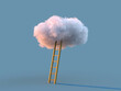canvas print picture - ladder to the white cloud