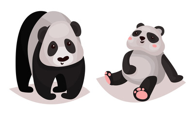 Wall Mural - cute giant panda bear as carnivore forest animal vector illustration