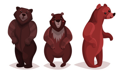 Wall Mural - cute brown bear as carnivore forest animal vector illustration