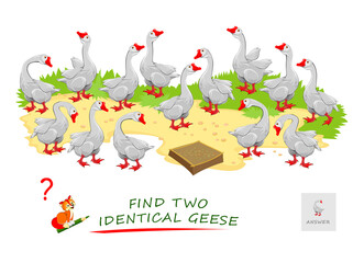 Logic puzzle game for children and adults. Find two identical geese. Printable page for kids brain teaser book. Developing spatial thinking skills. IQ test. Task for attentiveness. Play online.