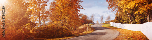 Fotomural old asphalt road with beautiful trees in autumn