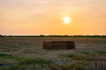 Wall Mural - Hay bale on a harvested wheat field during sunset