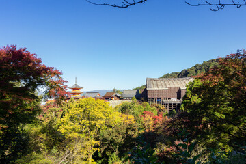 Wall Mural - Temple and pagoda in the high part of Kyoto (Japan)