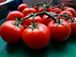 fresh and organic red tomatoes