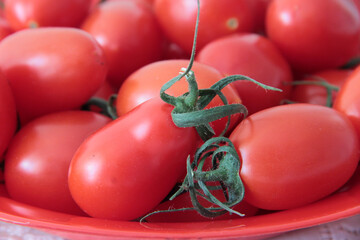 fresh and organic red tomatoes