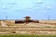 © Murray - close up of swather cutting Manitoba wheat