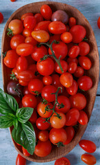 Wall Mural - variety of miniature tomatoes on turquoise wooden surface