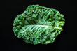 Fresh raw green curly-leaf kale or leaf cabbage on black background. Healthy food, vegan diet, trendy salad and smoothie ingredient.