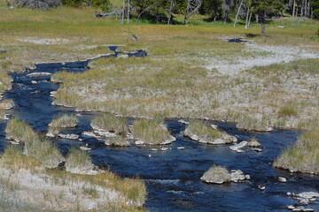 Wall Mural - Scalding water flowing in a thermal desert at Upper Geyser Basin in Yellowstone National Park, Wyoming