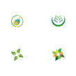 © evandri237@gmail - Set Leaf  ecology Logo Template vector