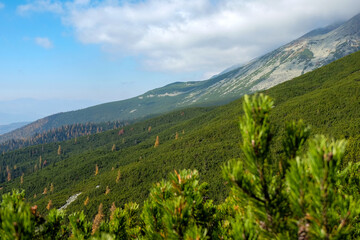 Great Cold Valley in High Tatras, Slovakia. The Great Cold Valley is 7 km long valley, very attractive for tourists