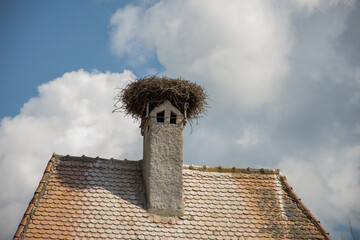 Wall Mural - large stork's nest  in Romania, Brasov ,Roades,2019